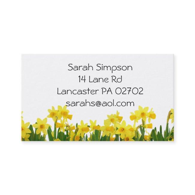 daffodils flower