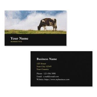 Dairy Farm Manager Aquaculture Director