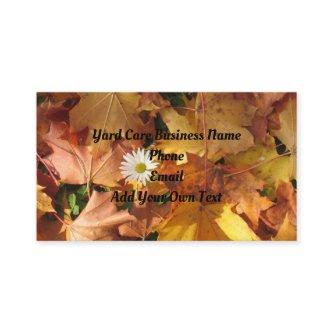 Daisy In Leaves