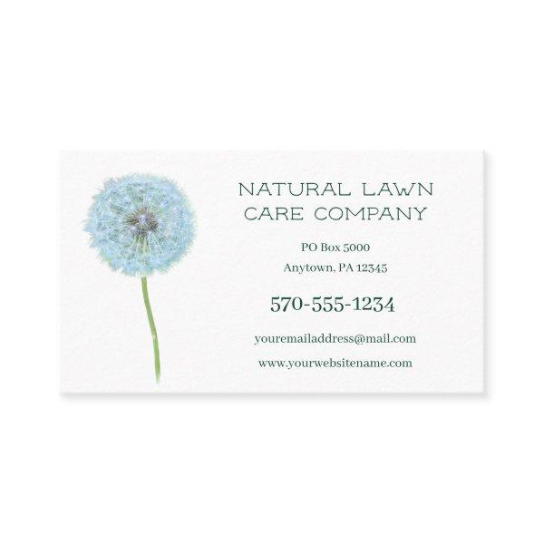 Dandelion Lawn Care Landscaping Landscaper