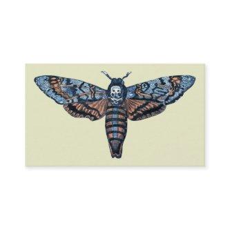 Death's Head Moth, aka Sphinx atropo moth