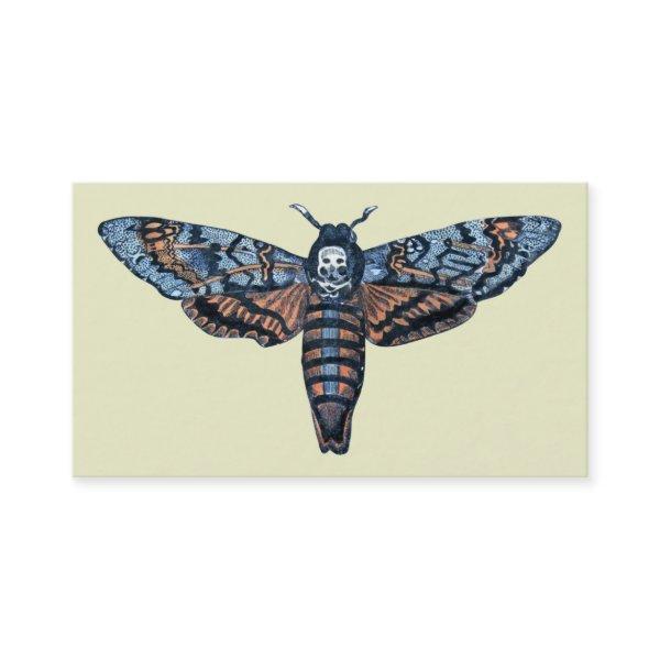 Death's Head Moth, aka Sphinx atropo moth