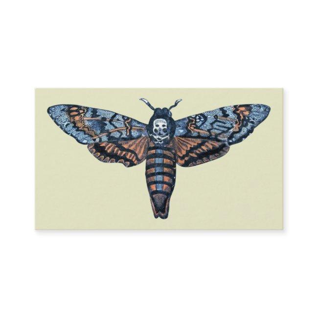 Death's Head Moth, aka Sphinx atropo moth