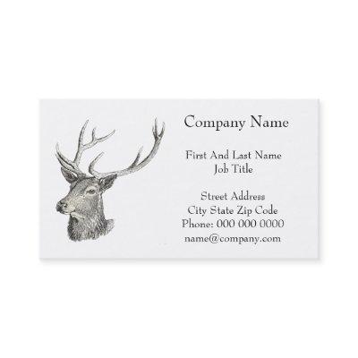 Deer Buck Head with Antlers Drawing