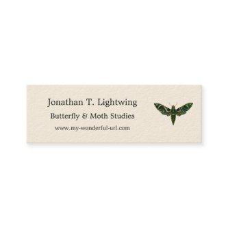 Deilephila Nerii - Oleander Hawk-Moth Business Car Mini