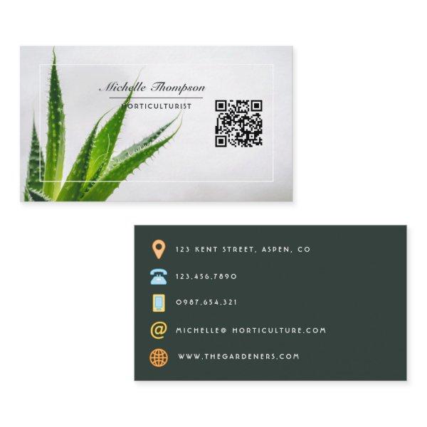 Desert Cactus Succulents QR Code