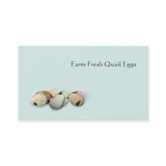 Different colored quails eggs