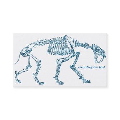 Dinosaur