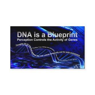 DNA