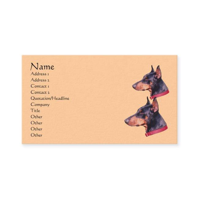 Doberman Dog Animal