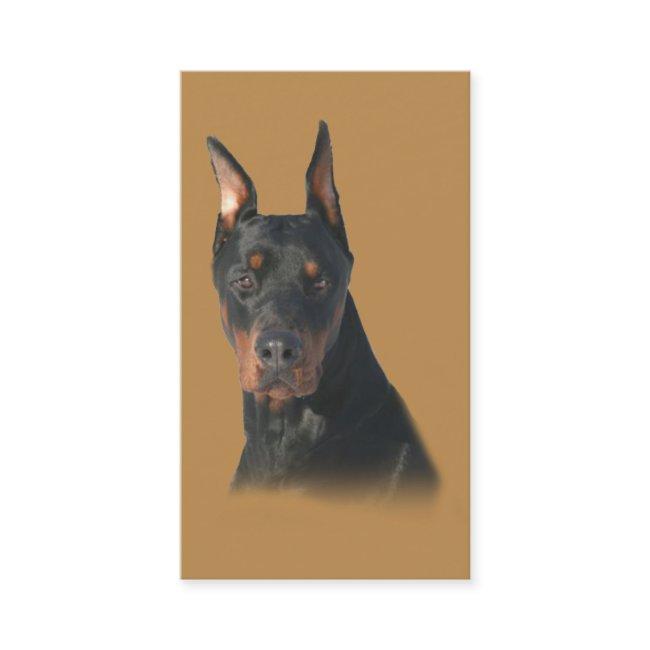 Doberman Pinscher Breeder