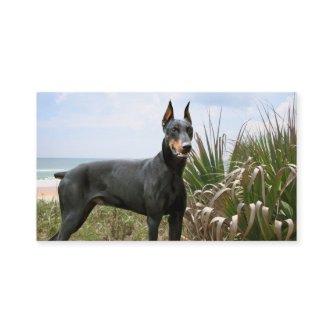 Doberman Pinscher Breeder