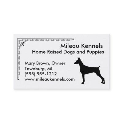 Doberman Pinscher