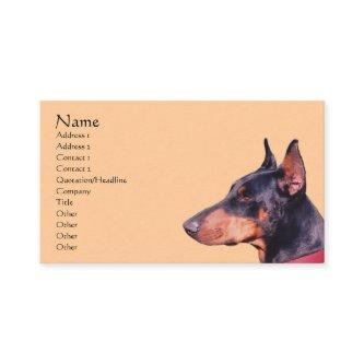 Doberman Pinscher Dog Animal