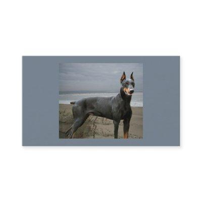 Doberman Pinscher Dog Lover