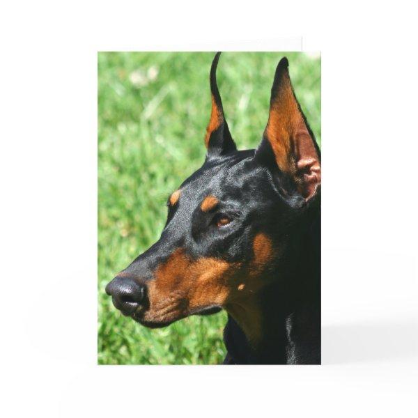 Doberman Pinscher greeting card