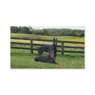 Doberman Pinscher Lover