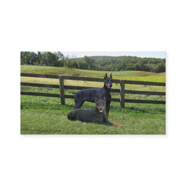 Doberman Pinscher Lover