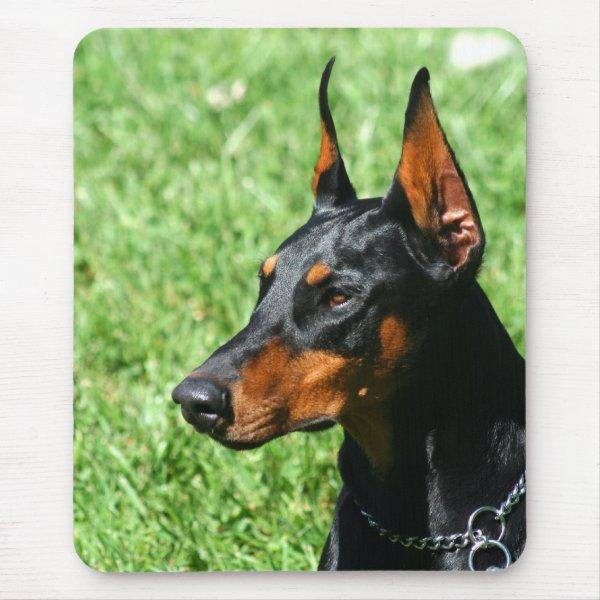 Doberman Pinscher mousepad