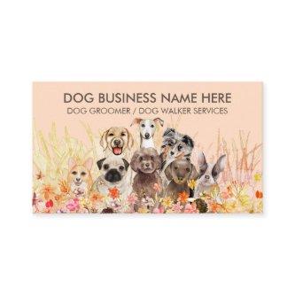 Dog Breeds Puppy Pet Sitter