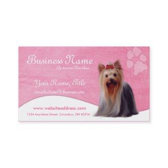 Dog  :: Yorkshire Yorkie