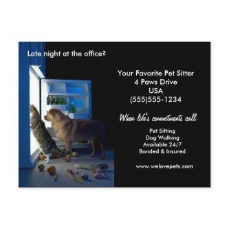 Dog & Cat Home Alone Midnight Pet Sitter Postcard