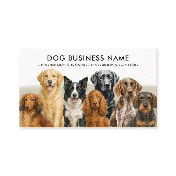 Dog Groomer Walking Sitting Boarding Training