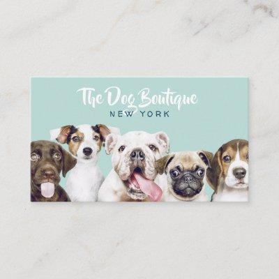 Dog grooming boutique pet sitter cute puppy script