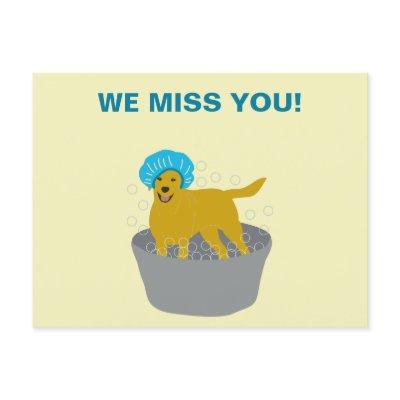 Dog Grooming Business Dog Groomers Promotional Postcard