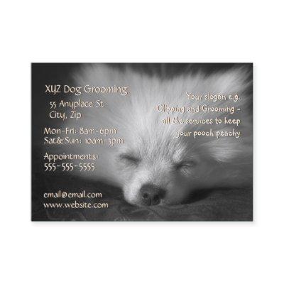 Dog Grooming Service  template