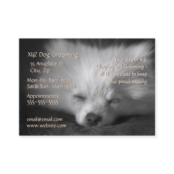 Dog Grooming Service  template