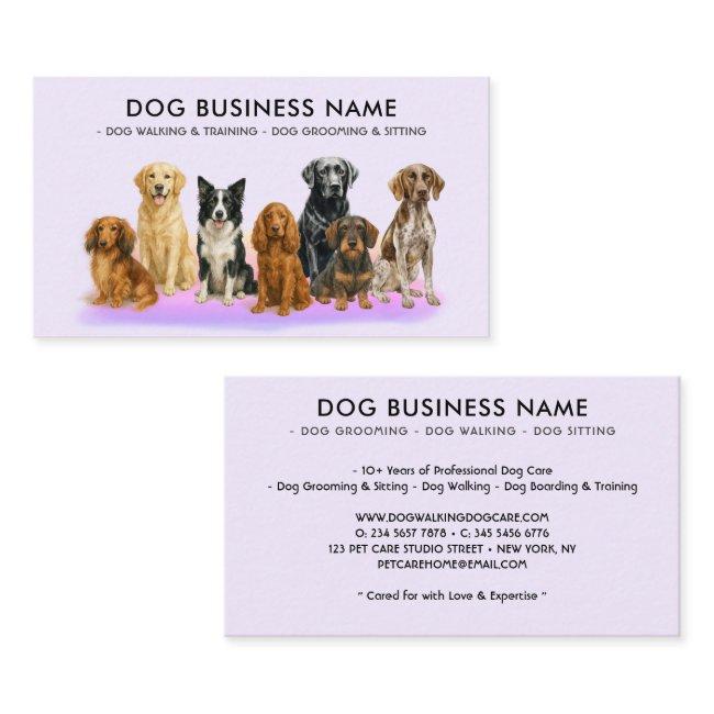 Dog Grooming Walking Sitting Boarding lilac