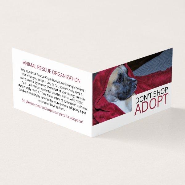 Dog in Red Blanket, Pet Adoption Detailed