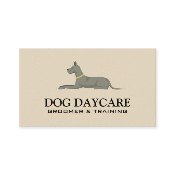 Dog Laying Down | Animal Care Services