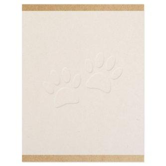 Dog Paw Print With Embossed Effect Letterhead