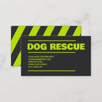 Dog Pet Rescue