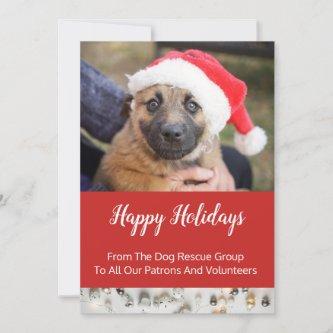 Dog Rescue Group Holiday Business