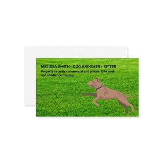 Dog Running in the Grass | Dog Paws