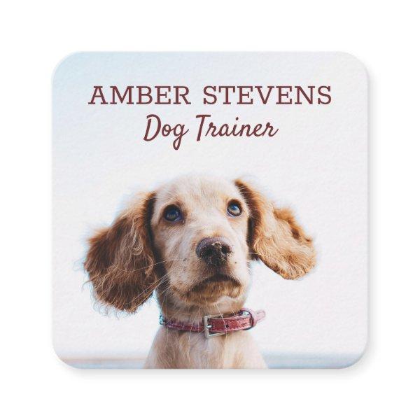 Dog Sitting | Dog Trainer Square