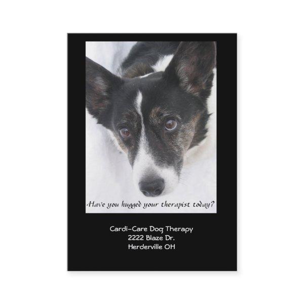 Dog Therapy  II