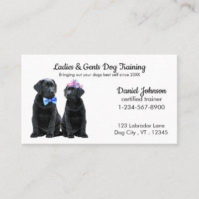 Dog Trainer - Black Labrador - Cute Puppy Dog