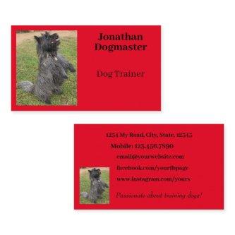 Dog Trainer Bright Red Minimal Photo