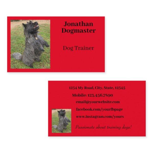 Dog Trainer Bright Red Minimal Photo