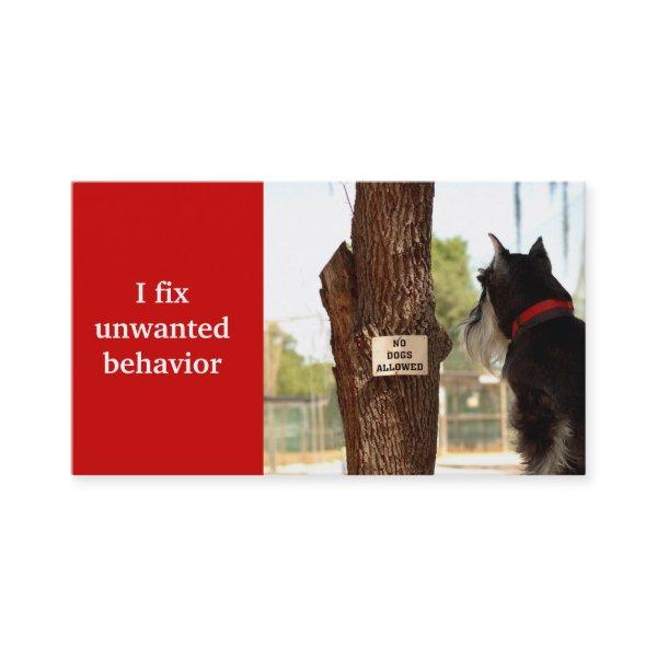 dog trainer