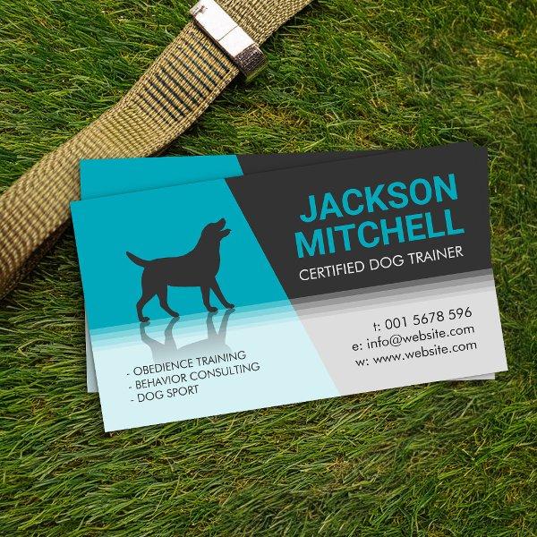 Dog Trainer - Canine Behaviorist
