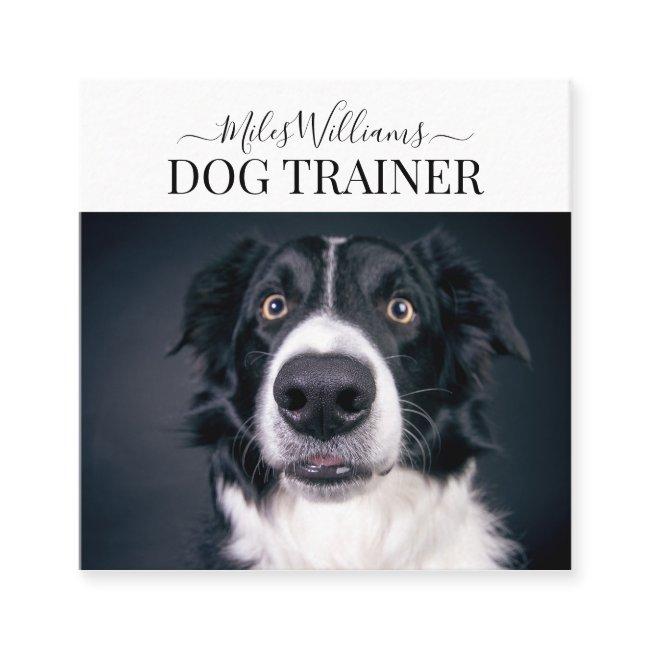Dog Trainer Or Behaviorist Square
