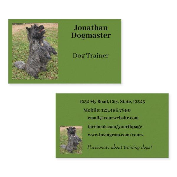 Dog Trainer Photo Green Background Minimal