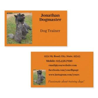 Dog Trainer Photo Orange Citrus Background Minimal
