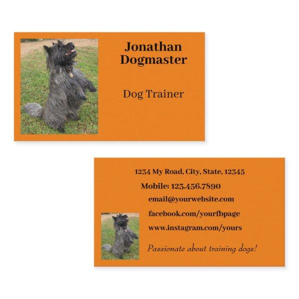Dog Trainer Photo Orange Citrus Background Minimal