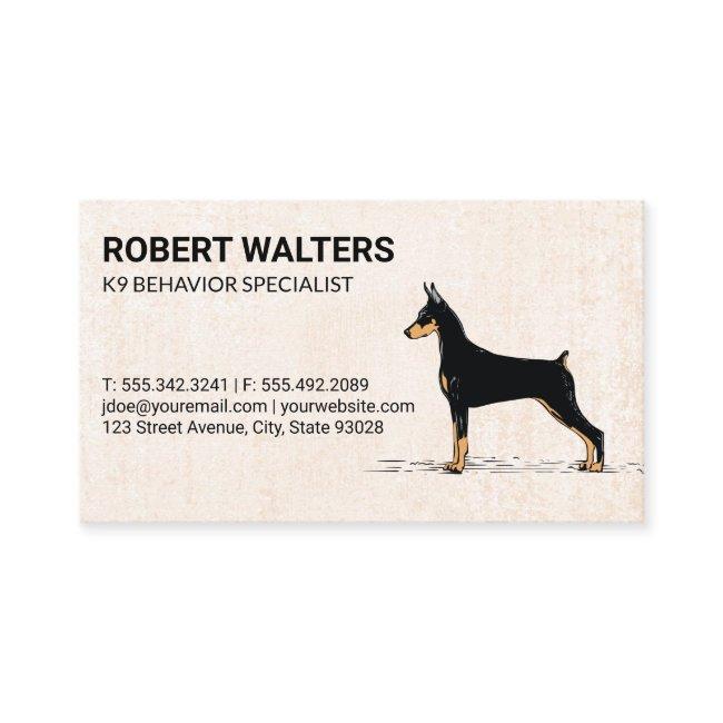 Dog Trainer | Sitter | Behavior Specialist